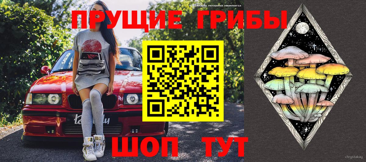 Псилоцибиновые грибы Psilocybine cubensis Щёлково